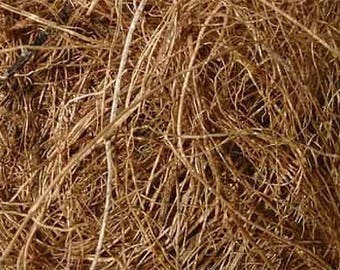 COCONUT FIBRE- Natural dye or stuffing material