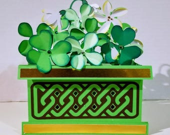 Lucky Clovers Box Card