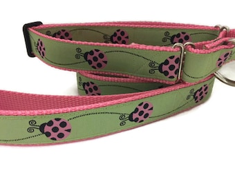 Dog Collar and Leash, Ladybug, 6ft leash, 1 inch wide, adjustable, quick release, metal buckle, chain, martingale, hybrid, nylon