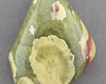 Rhyolite or Rain Forest Jasper Cabochon