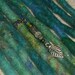 Dreadlock Bead Silver Leaf Bohemian Dreadlock Jewelry Jewellery Dangle Dread Beads Wrap Beads Tribal Hippie Hippy Festival Boho Hai