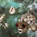Enamel Rhinestone Pearl Puffer Fish Brooch – Unique Fun Figural 1960s Jewelry