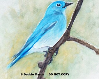 May, The Bluebird Of Happiness