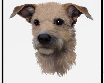 Rocco -Terrier Poodle Mix- Print