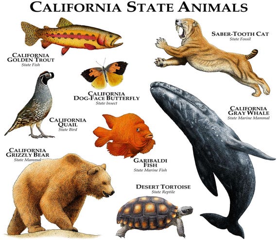 california-state-animals-poster-print