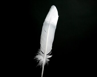 Silver Dipped Very Large Turkey Feathers 10-12" - Hand painted - Great for weddings, birthdays, crafts, DIY decorations + dreamcatchers