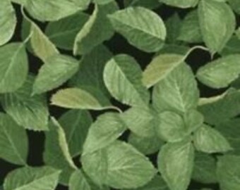 Floral Fabric, Leaves Fabric: Hydrangea Leaves by Timeless Treasures C2082 Black 100% cotton Fabric by the yard TT244