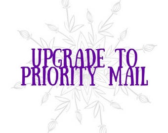 US Upgrade to Priority Mail OR Priority Express Mail