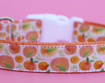 Summer Dog Collar 1" Peach Dog Collar