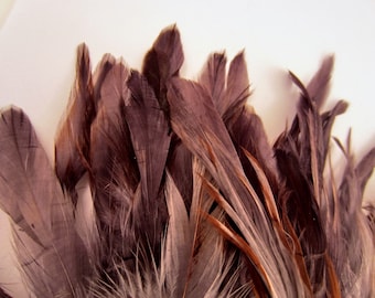 Dark grey Feathers blue dun over eggshell 30 pack