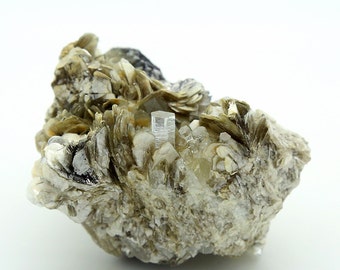 Aquamarine Crystals with Muscovite – 202g