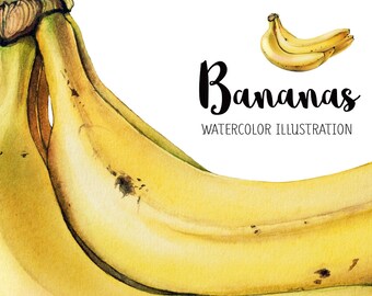 Bananas watercolor, Bananas illustration, Watercolor fruit, Realistic, Still life, Fruit, Clip art, Kitchen decor, Illustration, art, decor