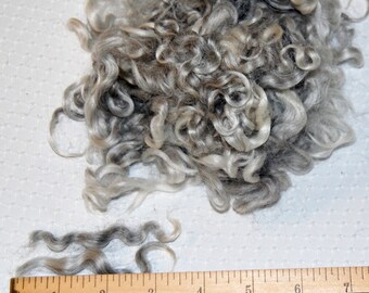 Cotswold Wool Locks, Locks for Spinning, FeltingFiber, Doll Hair, Doll Wig,Gray Doll Hair, shades of Silver Gray 2 0z.