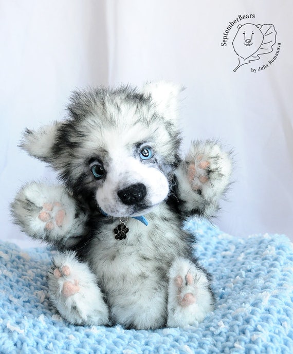 mini teddy bear husky