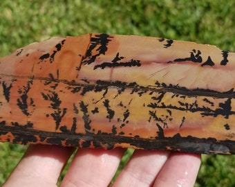 Indian Paint Stone Slab. Indian Paint Rock Slab. Indian Blanket Slab. Picture Slab. Indian Paint Rock Rough. Lapidary Slab. Stone Slab. 2