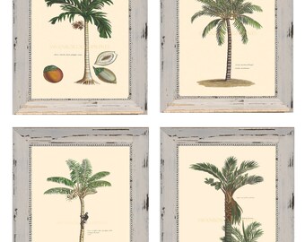 Palm Trees. Set of Four Palm Tree Prints Multibuy Discount 8 x 10 Coastal Living Palm Tree Living Room Wall Decor. Watercolour Paper Prints