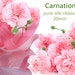 Carnation silk ribbon