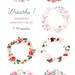 Succulents Clipart Frames Succulent Border roses frame
