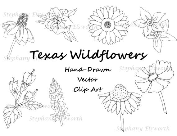 Free Free 108 Outline Wildflower Svg SVG PNG EPS DXF File