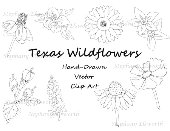 Free Free 135 Outline Wildflower Svg SVG PNG EPS DXF File