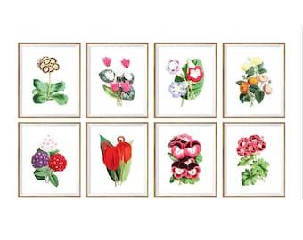Botanical Art Print SET of 8. botanical print set, botanical prints set, botanical prints a4, flower prints 8x10, set of flower prints, wall