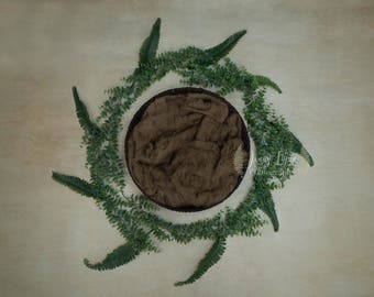 Newborn Backdrop Leaves and Ferns Brown Blanket