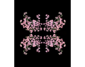 Limited Edition Fine Art Print-Flowers-Floral-Florography-Modern Art-Pink-Black-Flower-Abstract-Nature-Minimalist-Minimal-Interior Design