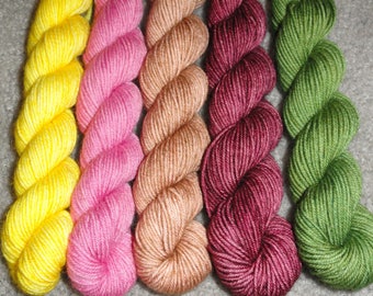 Sara's Lily Superwash Merino/Nylon Sock Mini Skein Set
