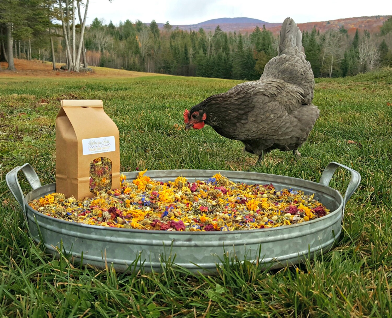 Herbs for Hens COOP CONFETTI® Chicken Nest Box Herbal