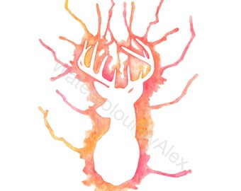 Spring Stag Silhouette