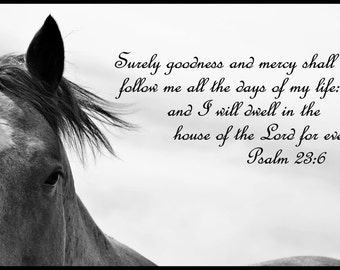 psalm 23