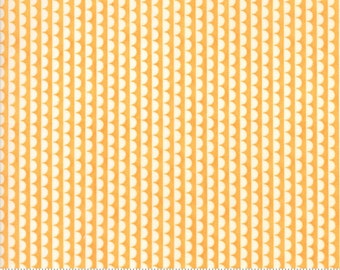 Basics (55037 33) Scallop Orange Bonnie & Camille