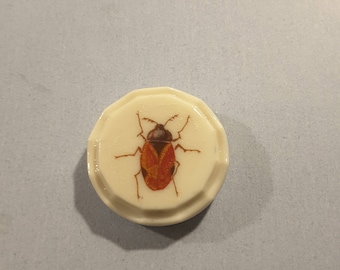 Vintage casein button with red beetle transfer.