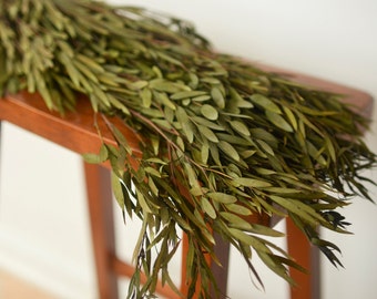 Bunch of Preserved Olive Green Willow/Teardrop Eucalyptus, teardrop eucalyptus, willow eucalyptus, green eucalyptus, preserved foliage