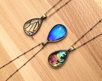 Nature jewelry Real Butterfly necklace Real butterfly jewelry Monarch butterfly necklace Taxidermy butterfly Blue Morpho Sunset moth bug