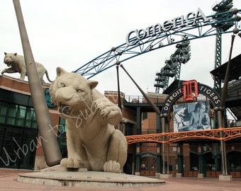 Detroit Tigers, Comerica Park, Michigan, Travel, Wall Art, Photographic Print
