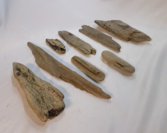 Bulk Driftwood Collection - Driftwood Pieces - 8 Unique Pieces