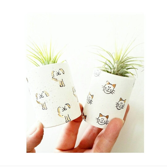 Concrete Planter/Mini Air Planter/Cat decor/ Indoor Planter/Kitty decor/Cat lover gift/Pet lover gift/Dog lover/Dog Mom/Cat Mom/Dog Mom