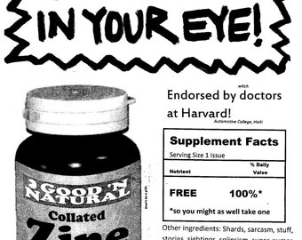6 ShardsofGlassInYourEye! Humor Zine