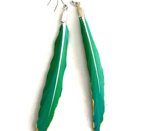 Feather earrings - Painted bird feather earrings - Aqua and lime green with gold detail
