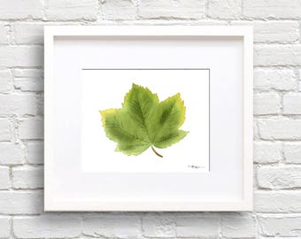 Sycamore Leaf Art Print - Nature Wall Decor - Leaves - Sycamore Tree Leaf Watercolor Painting