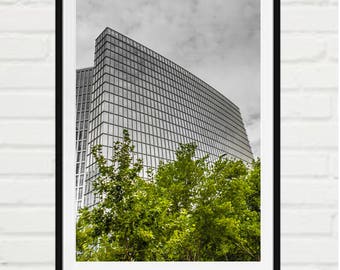 Urban glass building behind trees