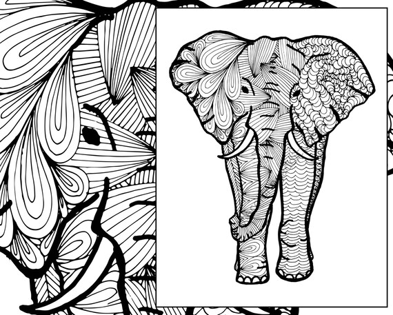 Download elephant coloring sheet animal coloring pdf zentangle adult