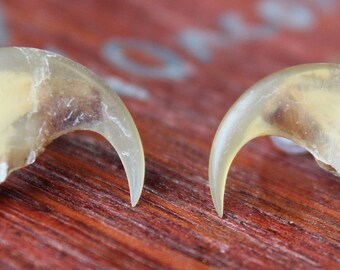 Real bobcat claw post earrings with surgical steel posts and silicon caps