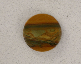 Owyhee Picture Jasper #1152