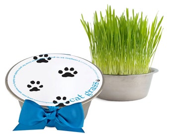 Cat Grass Pet Bowl – Cat gift – Kitten – Cat Lover – Wheat Grass– Eco Friendly – Indoor Garden - Pet Garden - Indoor Pet - Gifts for Pets