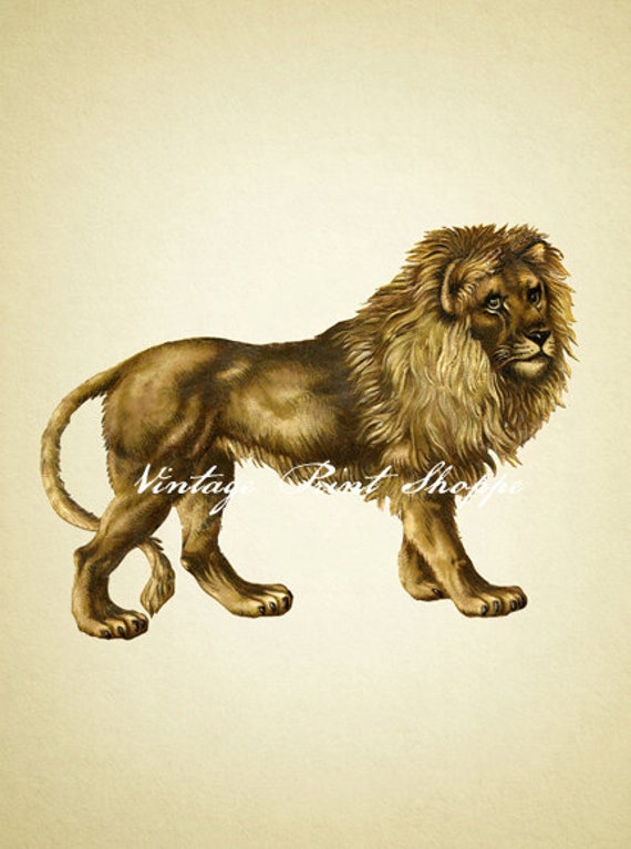 Vintage lion circus reproduction print 5x7 print Home Decor