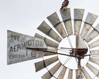 Western decor, western wall art, rustic wall art, western art, farmhouse wall decor, farmhouse art, photo or canvas of a hawk on a windmill