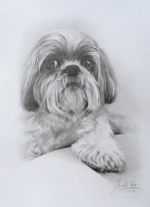 Custom 12 x 16 pencil drawing of your dog or cat created by