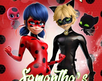 Miraculous welcome sign- backdrop- ladybug birthday party - Digital file YOU PRINT